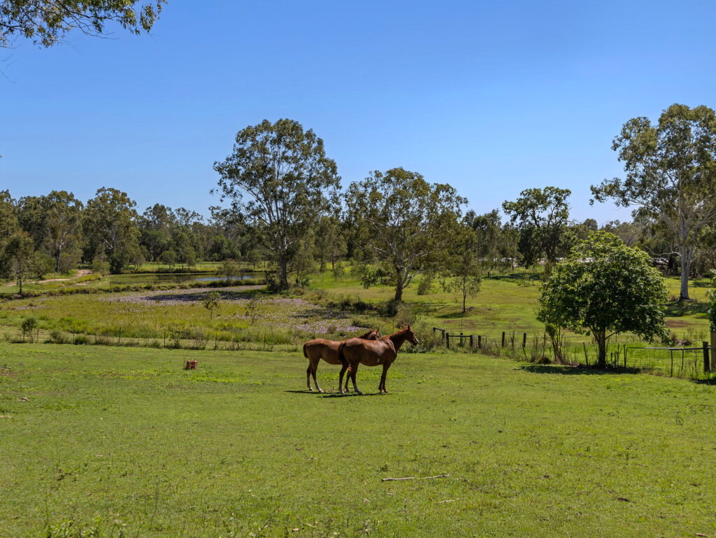 213-217 New Beith Road, Greenbank, QLD 4124