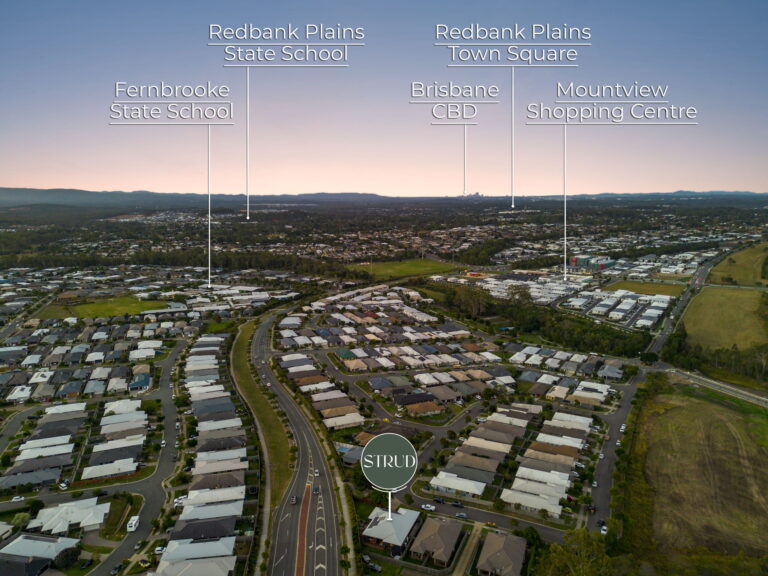 46 Reedy Crescent, Redbank Plains, QLD 4301