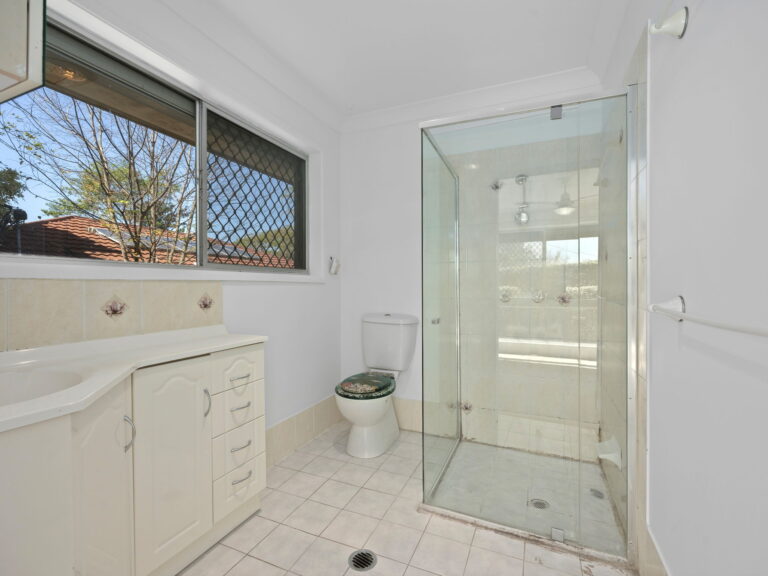 62 Aldinga Street, Redbank Plains, QLD 4301
