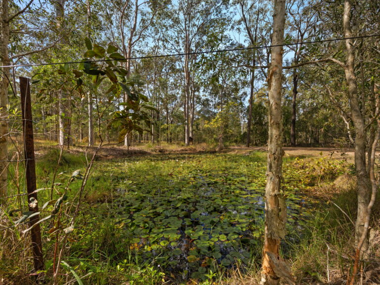 147-151 Ison Road, Greenbank, QLD 4124