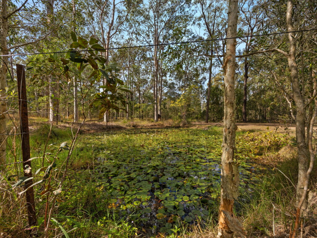 147-151 Ison Road, Greenbank, QLD 4124