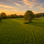 Lifestyle-Mount Kilcoy-QLD-R2-5125974