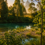 Lifestyle-Mount Kilcoy-QLD-R2-5125974