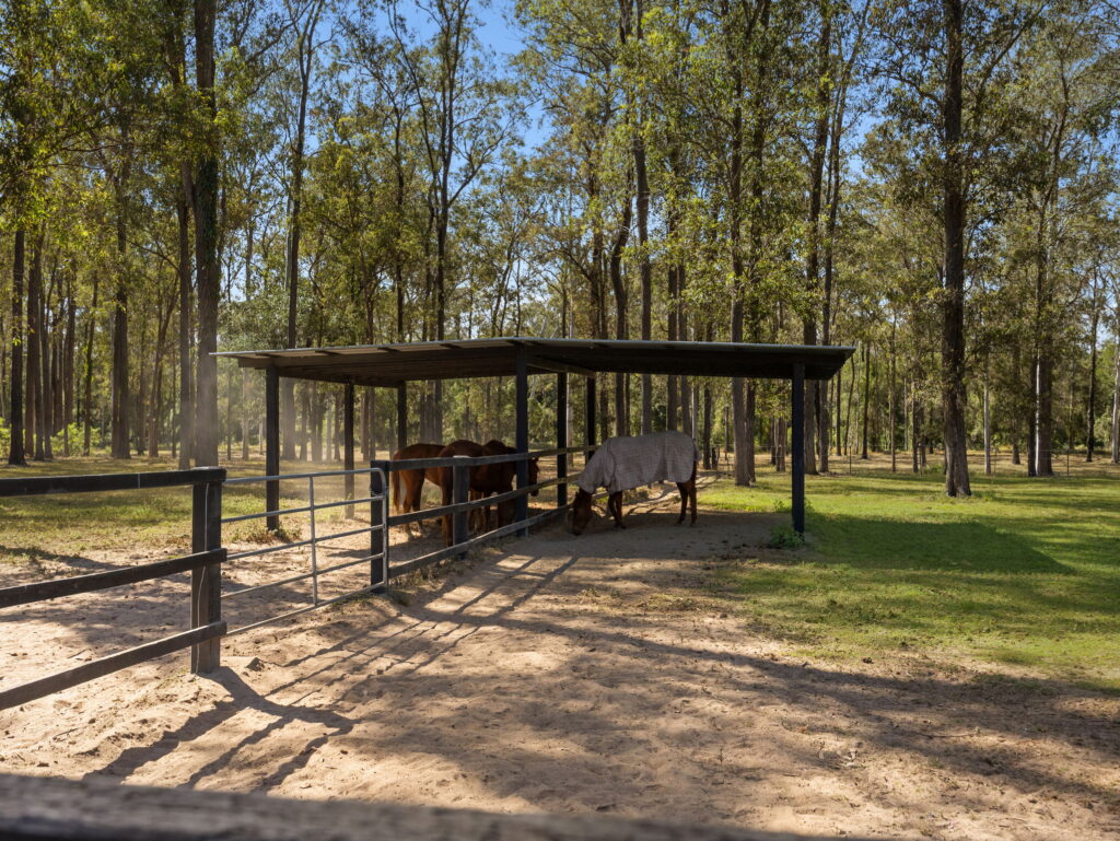 2-20 Ison Road, Greenbank, QLD 4124