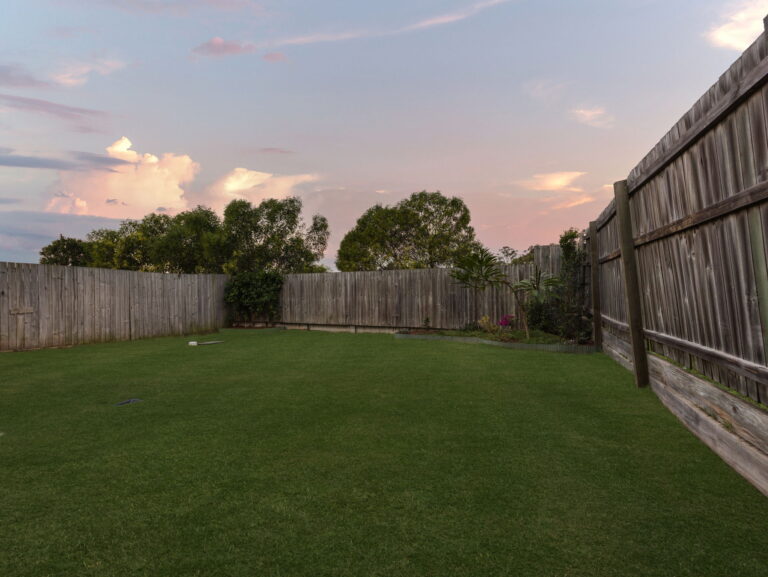 22 Dandelion Drive, Springfield Lakes, QLD 4300