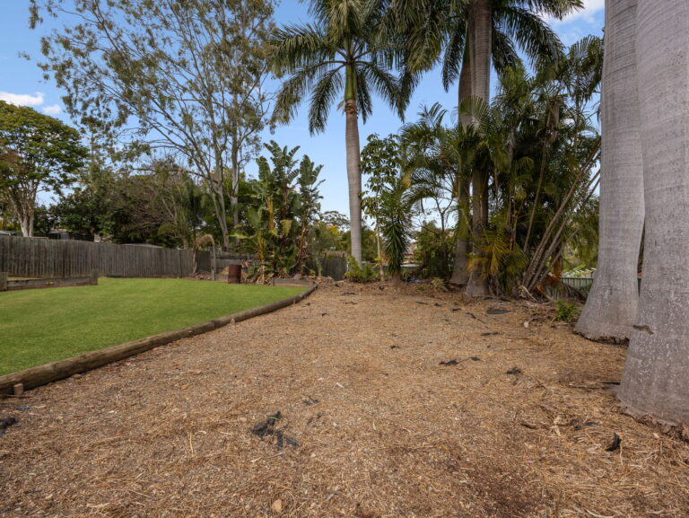 72 Cudgee Street, Redbank Plains, QLD 4301