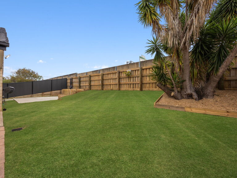 30 Ellen Circuit, Springfield Lakes, QLD 4300
