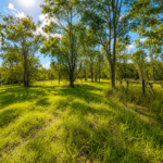 52 Raymont Drive North, Glenore Grove, QLD 4342