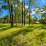 52 Raymont Drive North, Glenore Grove, QLD 4342