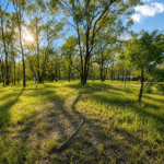 52 Raymont Drive North, Glenore Grove, QLD 4342