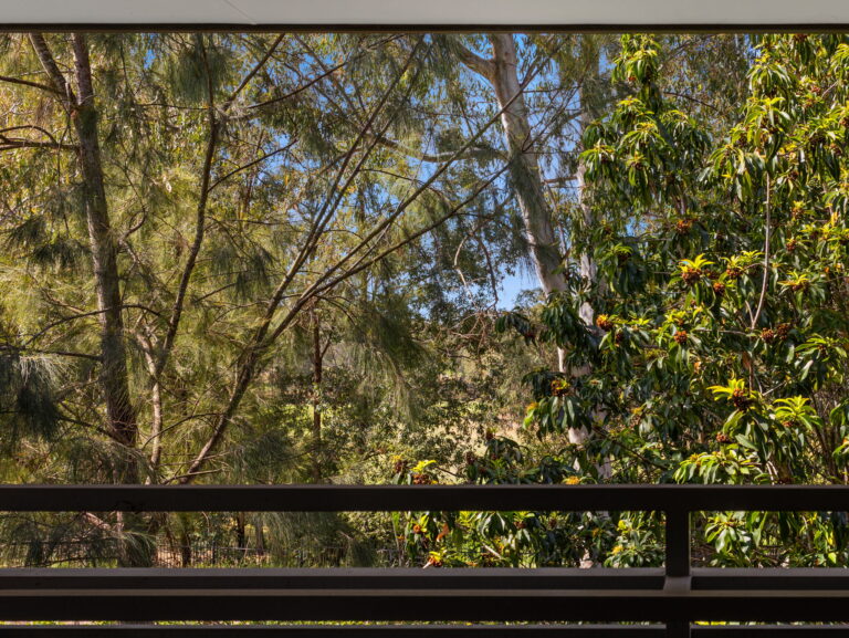 39 Melaleuca Drive, Brookwater, QLD 4300