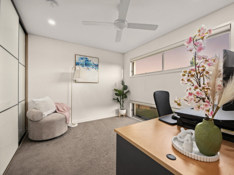117 Alawoona Street, Redbank Plains, QLD 4301