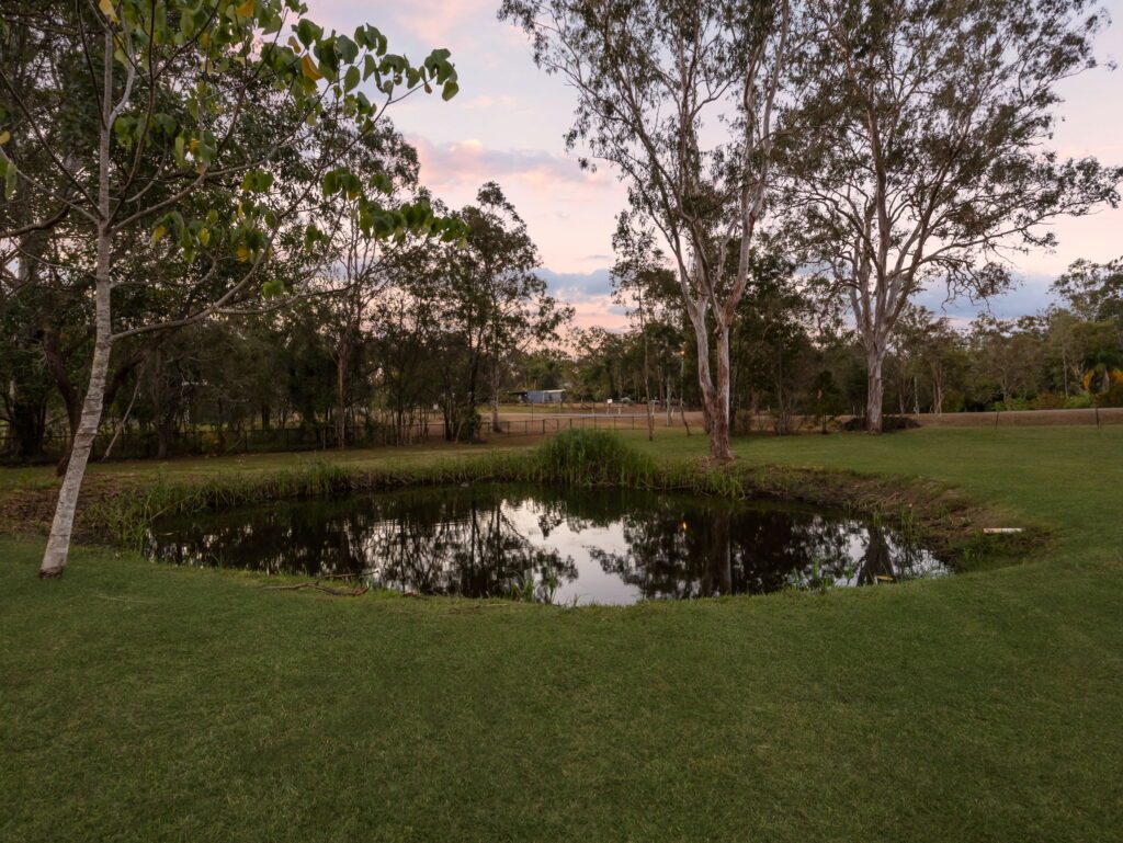 65 Riverside Avenue, Barellan Point, QLD 4306