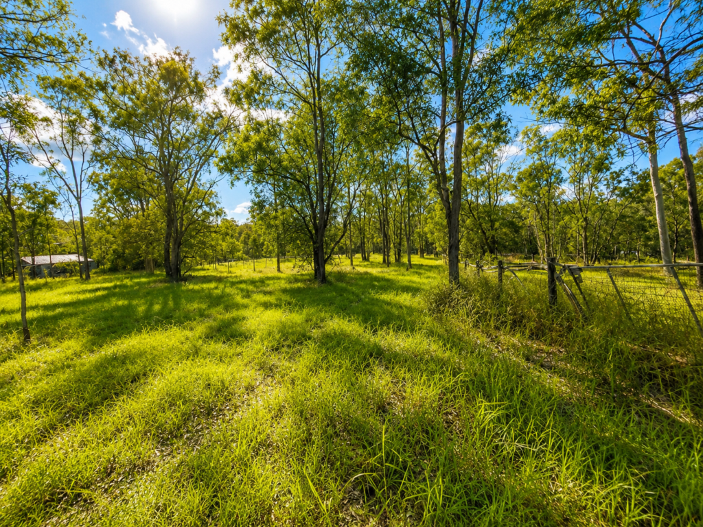 52 Raymont Drive North, Glenore Grove, QLD 4342