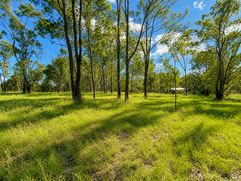 52 Raymont Drive North, Glenore Grove, QLD 4342