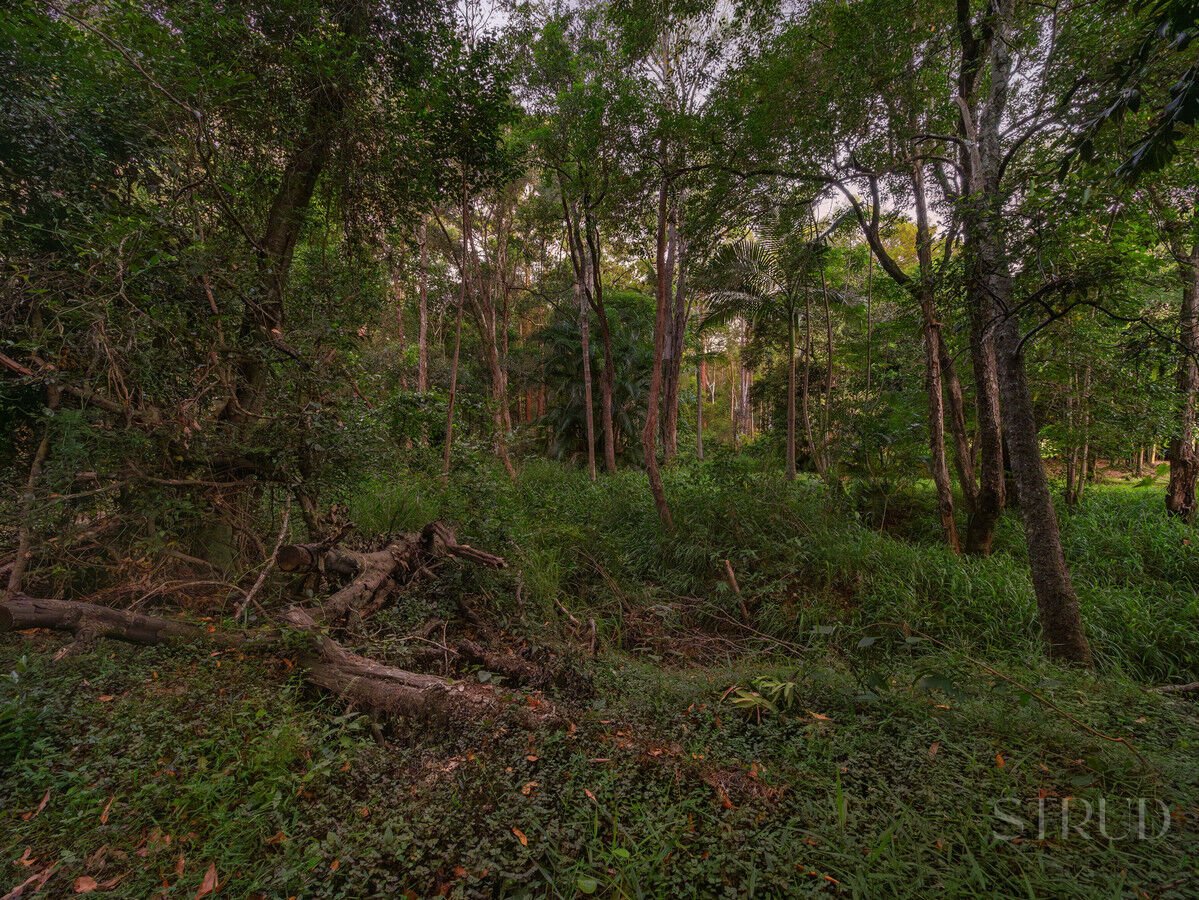 eyJ0eXAiOiJKV1QiLCJhbGciOiJIUzI1NiJ9.eyJzdGciOltbMTYsImh0dHBzOi8vYXUtY3JtLmNkbnMucmV4c29mdHdhcmUuY29tL2FwcC9saXZlc3RvcmUvYWNjb3VudHMvMzg2NC9saXN0aW5ncy80ODQ4ODY5L2ltYWdlcy8xMS13ZWItb3ItbWxzLTE4LTIyLV80YjgxLTRlNGEtYTk2Zi05NzYwLWM4YTgtMDRlNS03ZDhhLTFmMjJfMjAyNjAxMDcwNjA3MTEuanBnIiwxXSxbMTYsImh0dHBzOi8vYXUtY3JtLmNkbnMucmV4c29mdHdhcmUuY29tL2FwcC9saXZlc3RvcmUvYWNjb3VudHMvMzg2NC93YXRlcm1hcmtzLzUwNy9pbWFnZXMvU3RydWQtV2hpdGVfZTFhNi0zYWY2LWVhYzEtYzUwNC1jOTExLWM1ZmEtZGNhMi1lMWJhXzIwMjIwNTIwMDExNzI1LnBuZyIsMV0sWzgsMjVdLFsxMixudWxsLDAuMDksMl0sWzYsImJvdHRvbS1yaWdodCIsMjUsMjVdXSwiaXNzIjoiNTFjZWJlMTItMTUzYy0xMWU5LTk4YTYtNmU0YTY3YzRmYTg3In0