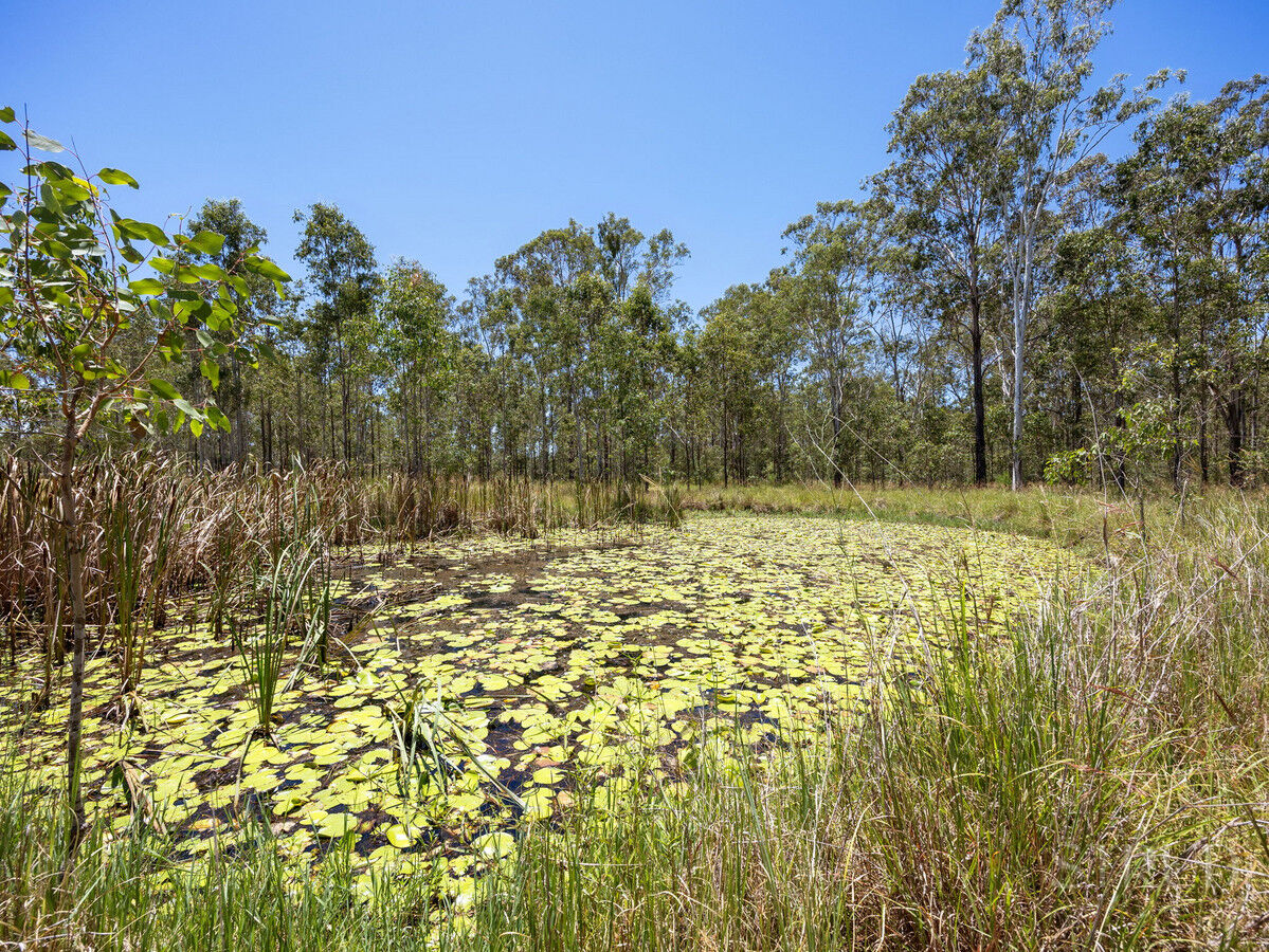 eyJ0eXAiOiJKV1QiLCJhbGciOiJIUzI1NiJ9.eyJzdGciOltbMTYsImh0dHBzOi8vYXUtY3JtLmNkbnMucmV4c29mdHdhcmUuY29tL2FwcC9saXZlc3RvcmUvYWNjb3VudHMvMzg2NC9saXN0aW5ncy80ODg1MzQzL2ltYWdlcy8yMy13ZWItb3ItbWxzLTQzLXdhcl9hNjdkLTQyNjItMzc0Mi1mNTJlLWEyOTAtNTk1Yi1lYTcxLTAwZDJfMjAyNjAyMDUxMTAwMzcuanBnIiwxXSxbMTYsImh0dHBzOi8vYXUtY3JtLmNkbnMucmV4c29mdHdhcmUuY29tL2FwcC9saXZlc3RvcmUvYWNjb3VudHMvMzg2NC93YXRlcm1hcmtzLzUwNy9pbWFnZXMvU3RydWQtV2hpdGVfZTFhNi0zYWY2LWVhYzEtYzUwNC1jOTExLWM1ZmEtZGNhMi1lMWJhXzIwMjIwNTIwMDExNzI1LnBuZyIsMV0sWzgsMjVdLFsxMixudWxsLDAuMDksMl0sWzYsImJvdHRvbS1yaWdodCIsMjUsMjVdXSwiaXNzIjoiNTFjZWJlMTItMTUzYy0xMWU5LTk4YTYtNmU0YTY3YzRmYTg3In0